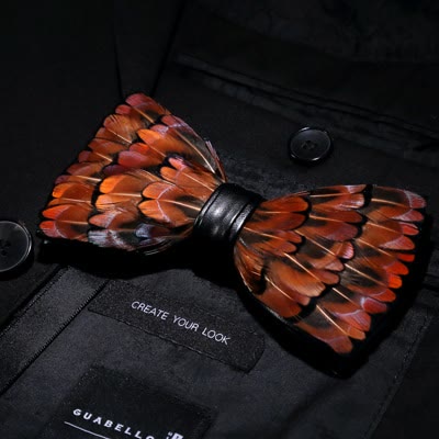 Brown & Black Trim Feather Bow Tie with Lapel Pin - Image 2
