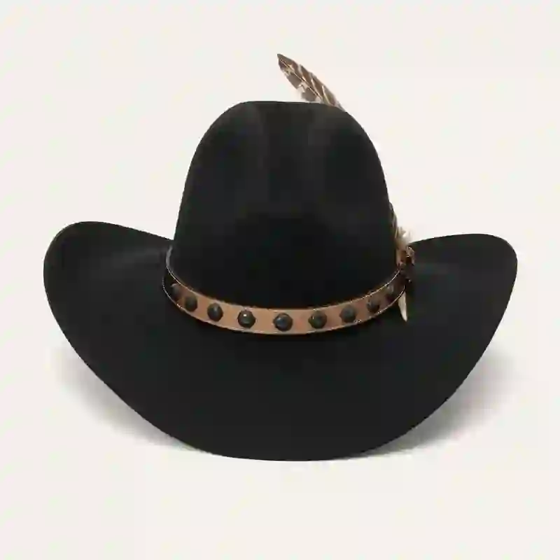 Western Rivets Studded Feather Detailed Cowboy Hat - Image 6