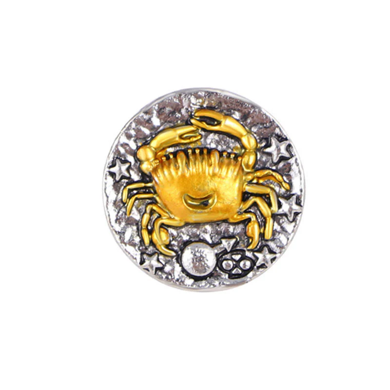 Zodiac Sign Retro Starry Round Alloy Buttons - Image 6